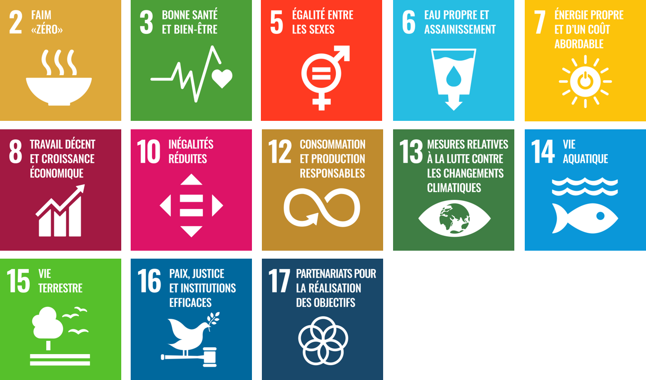 Approvisionnement responsable - Objectifs UN : voir ci-dessous pour la version accessible