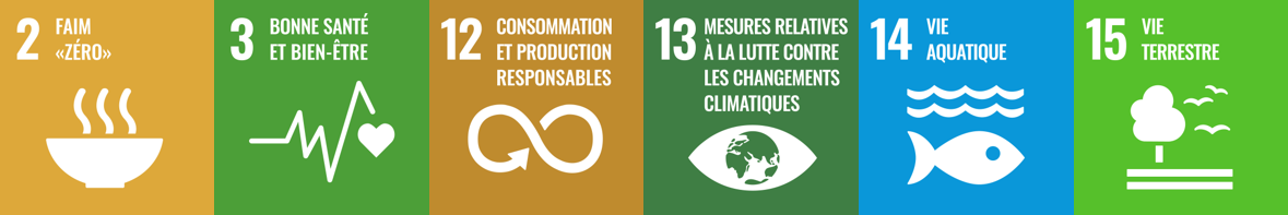 Alimentation saine et responsable - Objectifs Nations Unies - version accessible ci-dessous