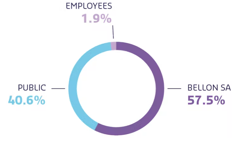 Voting rights breakdown as of August 31, 2021 (see below for accessible version)