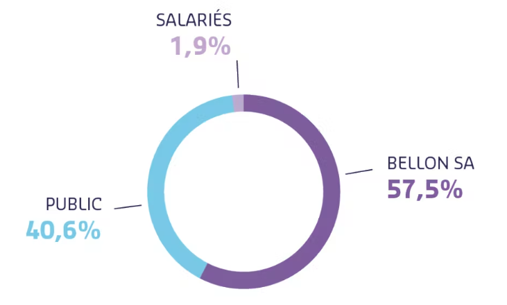 Shareholding Capital 2017 Répartition des droits de vote exerçables au 31 août 2022 (voir ci-dessous pour version accessible)